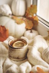 Fototapeta na wymiar Cozy autumn morning still life scene. Steaming cup of hot tea standing near the window. Fall, Thanksgiving concept. Pumpkins and leaves, wool sweater