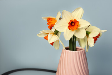 Yellow Narcissus bouquet on long minimalistic banner. Beautiful panoramic jonquil floral header. Daffodils on baby pink background, top view, flat lay