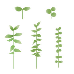 Illustration set of young leaves.