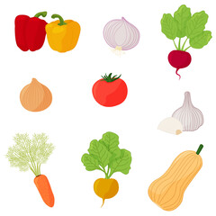 Vector collection of vegetables - carrot, onion, tomato and others. Organic vegetables in cartoon flat style. Vegetarian concept