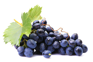 Grapes on a white background