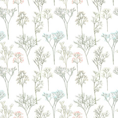 Seamless pattern of Gypsophila branches, illustration on white background