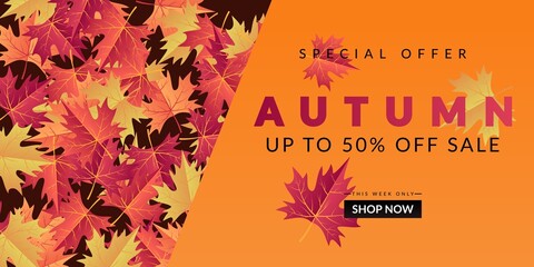 Autumn Sale Background with colorful leaves. Very suitable for banner, poster, flyer, advertising, etc.