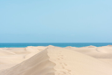 Fototapeta na wymiar Yellow dunes in the beach