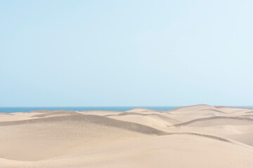 Fototapeta na wymiar Yellow dunes in the beach