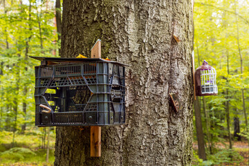 bird feeders suspended on an old bell. caring for animals