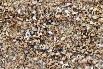 Extreme close up photo of rye bread, healthy food bread.
