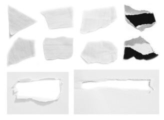 Collection of torn paper isolated on white background.
