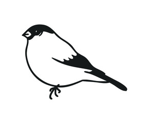 Hand drawn illustration winter bird. Creative ink art work. Actual cozy vector drawing bullfinch