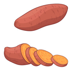 Chopped Sweet Potato or Batata. Color vector illustration, isolated on a white background.