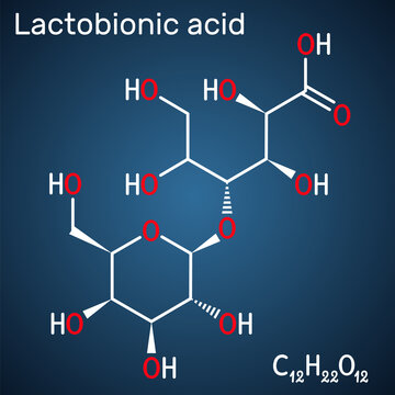 Lactobionic acid, lactobionate  molecule. It is PHA, polyhydroxy acid, disaccharide, sugar acid, food additive E399. Structural chemical formula on the dark blue background