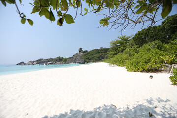 natural view of sandy beach
