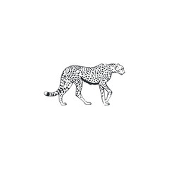 Cheetah logo design