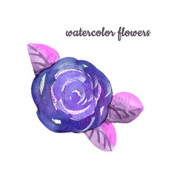 Watercolor violet Flower hand-painted lilac bud Rose and three leafs on a white Background. Isolated purple Wildrose Flowers element for wedding packaging and web