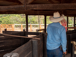 Cowboy is working inside a cattle corral