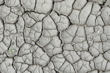 Dry cracked mud. A dry summer with no precipitation. Background image.