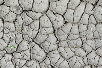 Dry cracked mud. A dry summer with no precipitation. Background image.