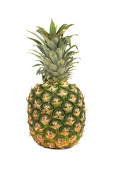 Fototapeta premium Fresh single Pineapple (Ananas comosus)