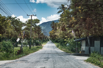Fototapeta na wymiar Straight asphalt road in the rainforest with hill on suburban