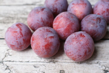 すもも 貴陽 (Plum)