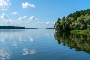 Сосновый бор по берегам реки Волги.