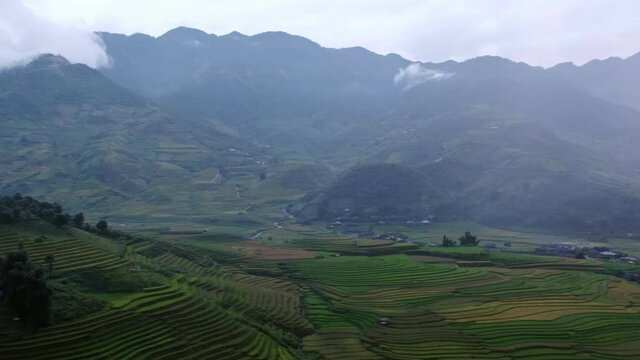 Viewpoint of rice field with mountain range on terrace at sunset. Tule, Yen Bai