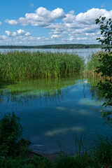 Лето. Берега реки Волги в окрестностях Конаково.