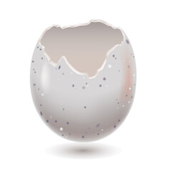 Eggshell Easter with white background. Broken eggshell  spotted grey white chicken vector illustration