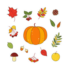 Autumn set of multi-colored leaves, berries, branches, pumpkin