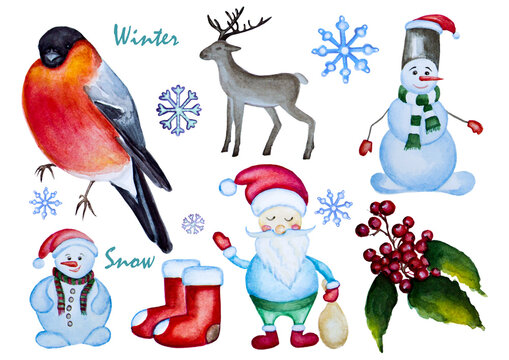 Set of watercolor hand drawn Christmas elements. Snowman, Santa Claus, deer, bullfinch, mountain ash.