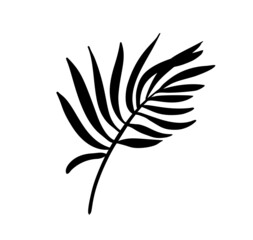 Modern Palm leaf vector abstrac illustration. Black and white silhouette. Isolated Exotic jungle contemporary trendy illustration. Perfect for boho posters, instagram posts, stickers