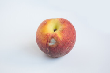 Peach with mold on white background