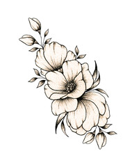 Elegant hand drawn floral bouquet with various big and small flowers and leaves isolated on white background, warm ink drawing monochrome elegant flower composition in vintage style