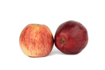 sweet red royal gala apple fruit