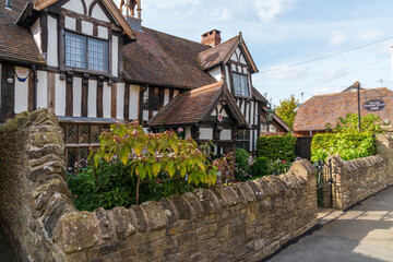 Fototapeta na wymiar thatched cottage (old school)