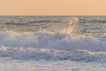 surfboard flying through the air after a surfer crashed mid wave during a beautiful sunset surf...