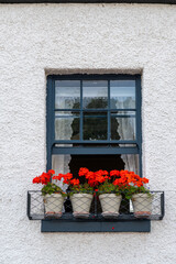Fototapeta na wymiar window with red flowers in pots