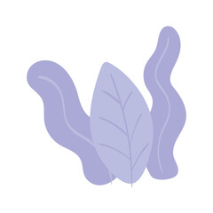 leaf nature botanical