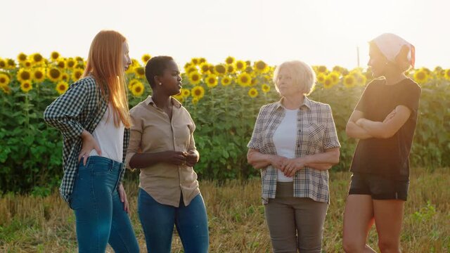 Charismatic group of young female multiracial and a old woman farmer walking happy through the sunflowers field have a discussion all together