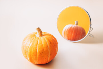 Beautiful orange pumpkin in front of the mirror