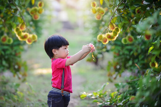 Happy little boy taking  fruit photo in the garden