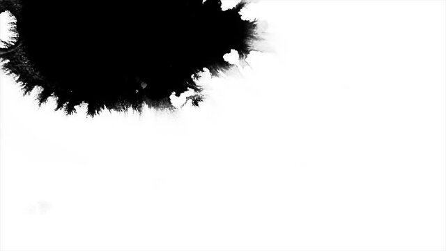 Black ink spreading on white background 4k footage