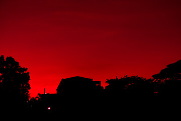 Photo Silhouette red sky and silhouettes of trees black.
