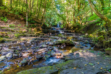 Naklejka na ściany i meble A view towards Summerhill Force & Gibson's Cave on the Bowlees Beck in summertime