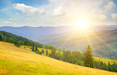 Plakat Sunrise in Carpathian mountains. Wide photo.