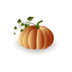 The pumpkin is orange with green leaves with a shadow on a white background.