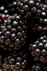 Ripe organic blackberries close up macro. Selective focus
