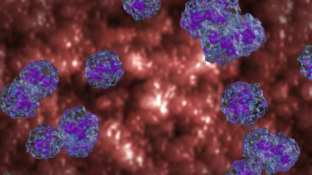 White blood cells flow, Basophils