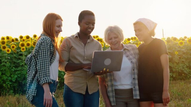 Happy and smiling large beautiful black female together with her friends and old beautiful grandmother using a laptop to write some statistic about the sunflowers they are in front of the camera