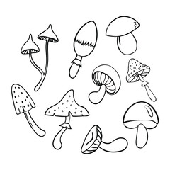 Doodle mushrooms. Black and white vector illustration on isolated background.